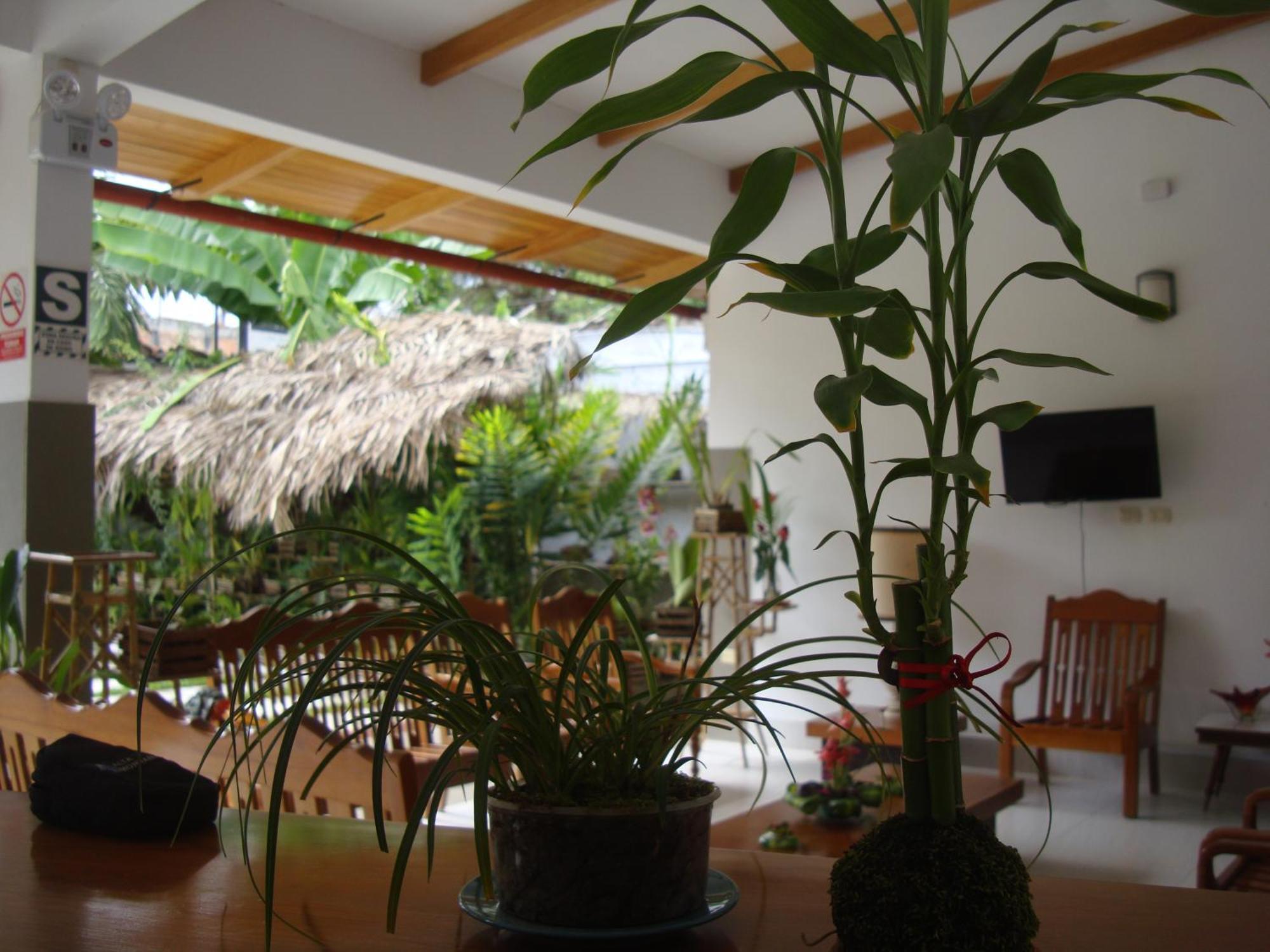 Altavista Casahotel - Asociado Casa Andina Moyobamba Buitenkant foto